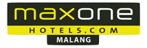 logo maxone