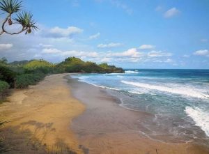 Pantai nganteb malang jatim