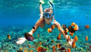 Wisatawan Turis Yang Lagi Snorkeling