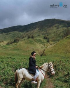 Bukit Teletubbies di Savana Bromo