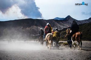 Fasilitas Wisata Bromo