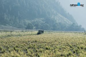 Paket Tour Bromo Malang Batu