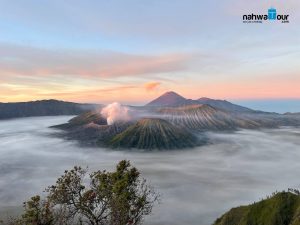 Paket Tour Bromo dari Surabaya