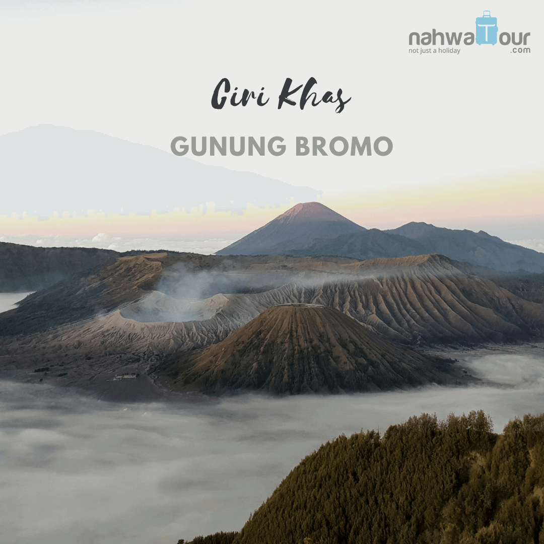 Apa Saja Ciri Khas Gunung Bromo