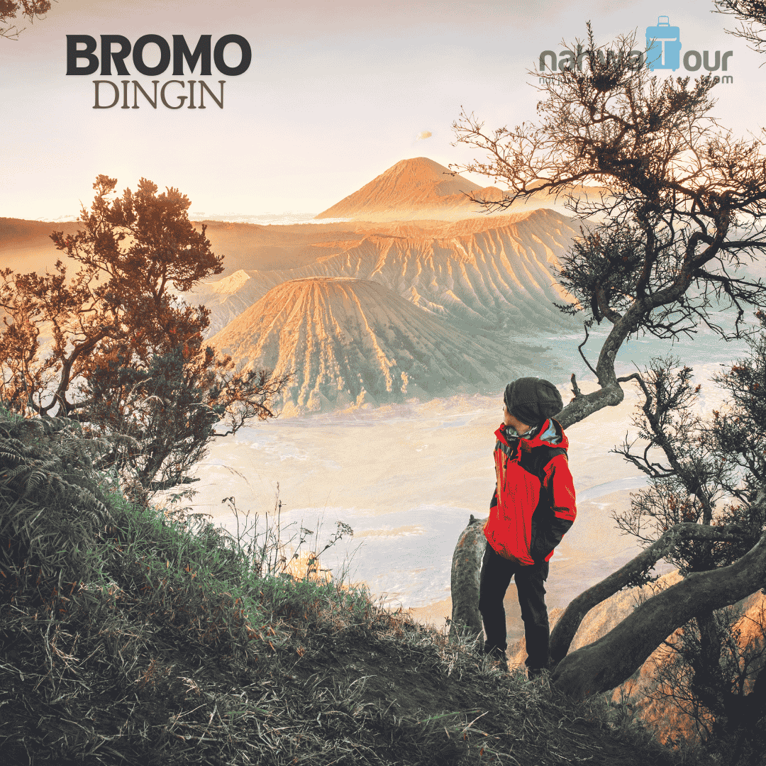 Bagaimana Cara Mengurangi Rasa Dingin Saat di Gunung Bromo