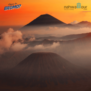 Gunung Bromo Terletak di Kabupaten Mana Saja