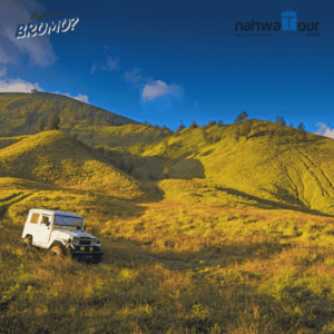 Apa Bisa ke Bromo Naik Mobil Pribadi