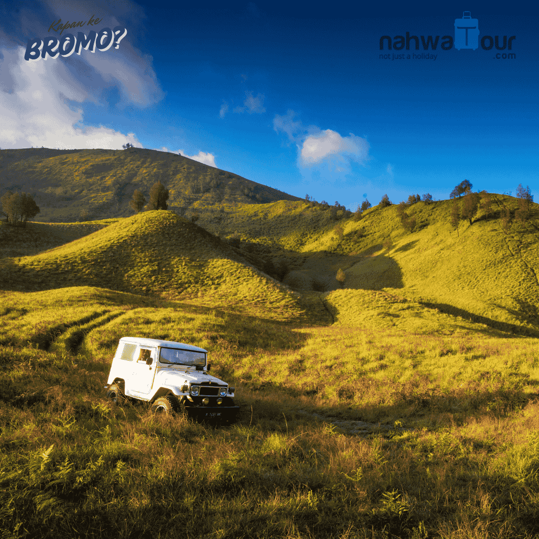 Kenapa Bromo Bisa Hijau Kembali