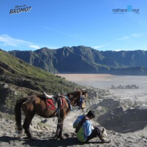 Berapa Jauh dari Malang ke Bromo