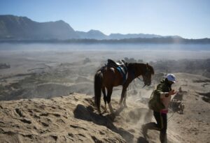 Petualangan Seru di Laut Pasir Bromo dengan Paket Wisata yang Tak Terlupakan