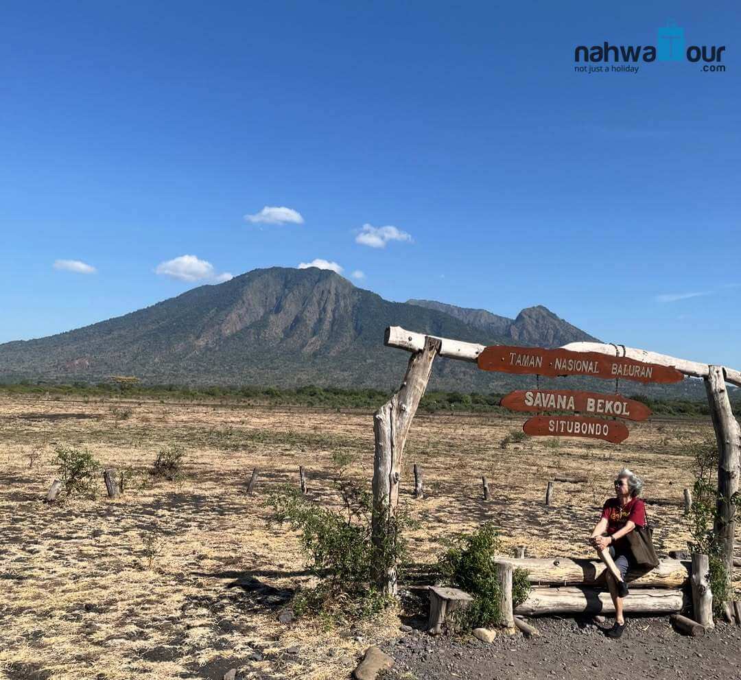 Apa yang Bagus di Banyuwangi