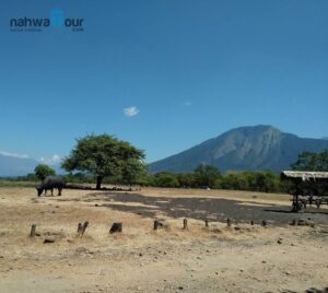 Apakah Gunung Baluran Masih Aktif